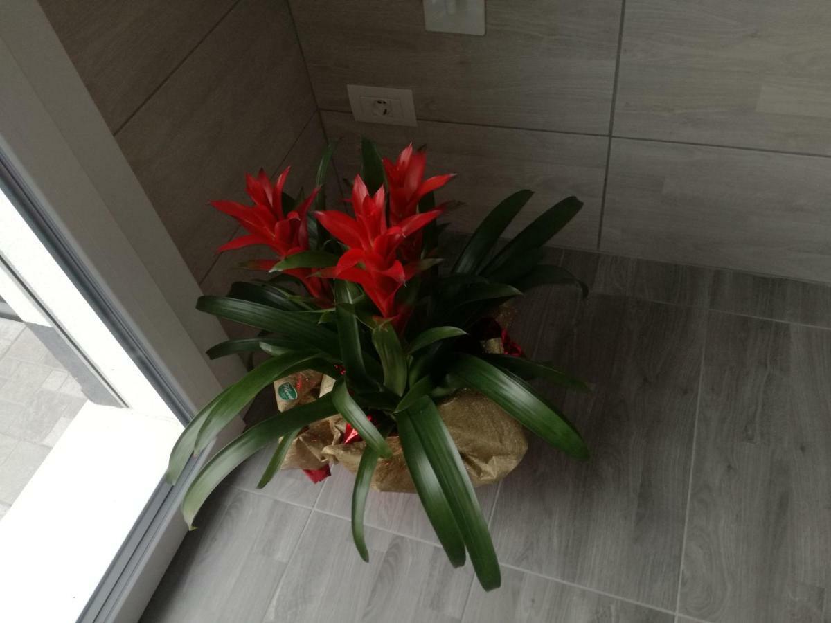 Alessietto Apartment Verona Bagian luar foto